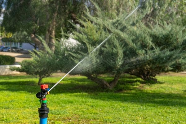 Irrigation Management